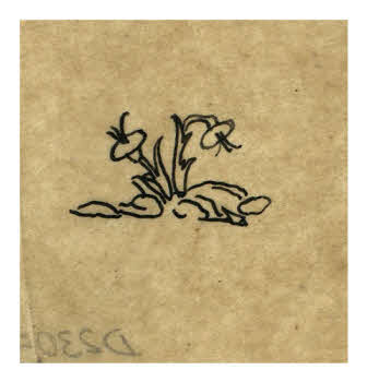 Visualizza l'immagine "FD D 2305"